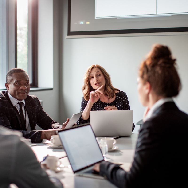 Professionals in a business meeting